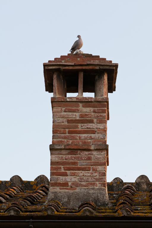 Agriturismo Cignan Rosso Villa Castellina in Chianti Esterno foto
