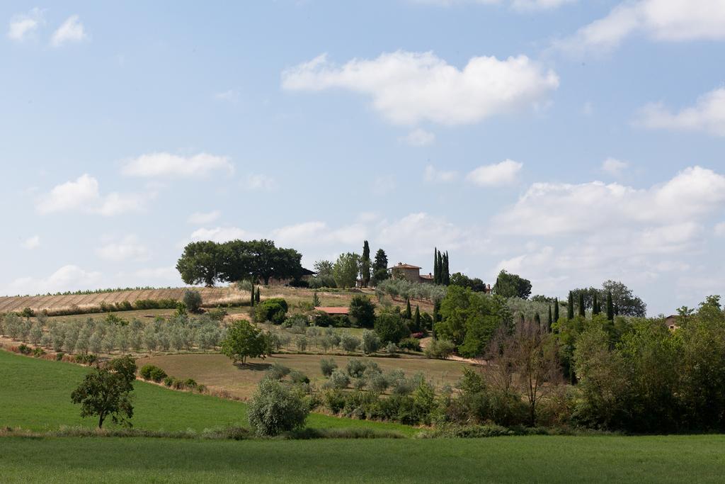 Agriturismo Cignan Rosso Villa Castellina in Chianti Esterno foto
