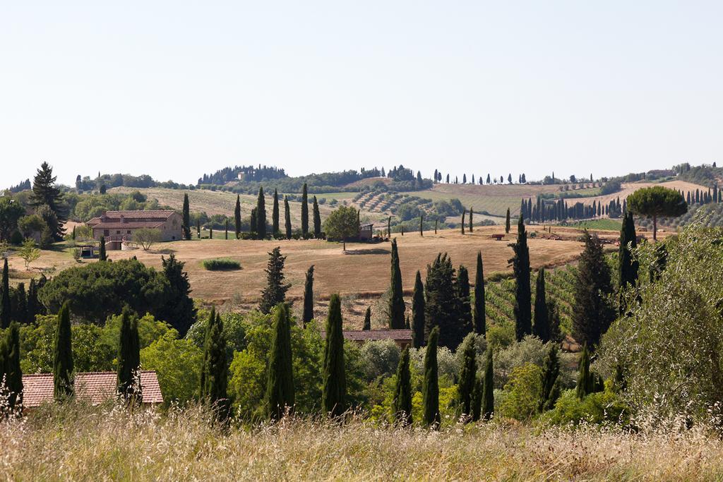 Agriturismo Cignan Rosso Villa Castellina in Chianti Esterno foto